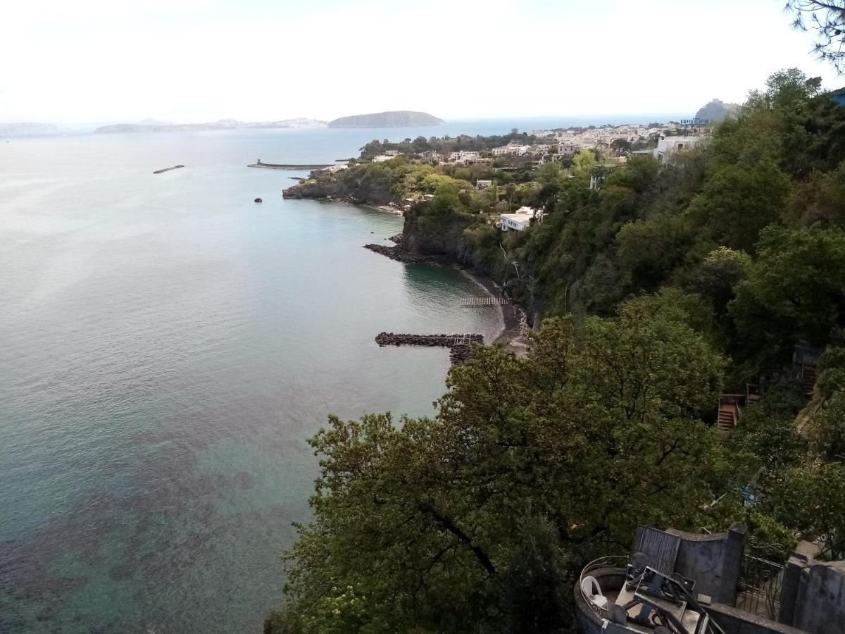L'Incanto Suites Ischia Casamicciola Terme Exterior photo